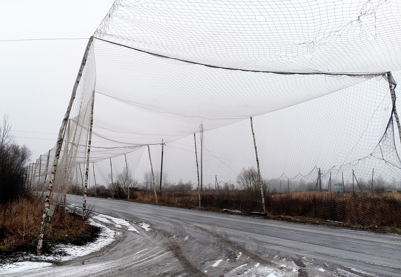 IMG_20251216_142516_621