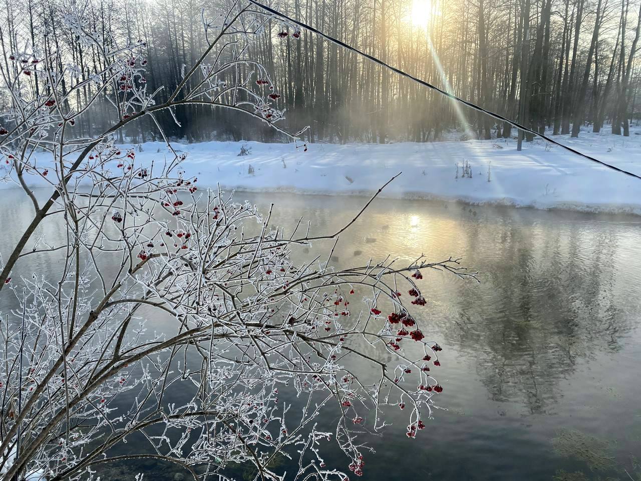 IMG_20260120_190614_627