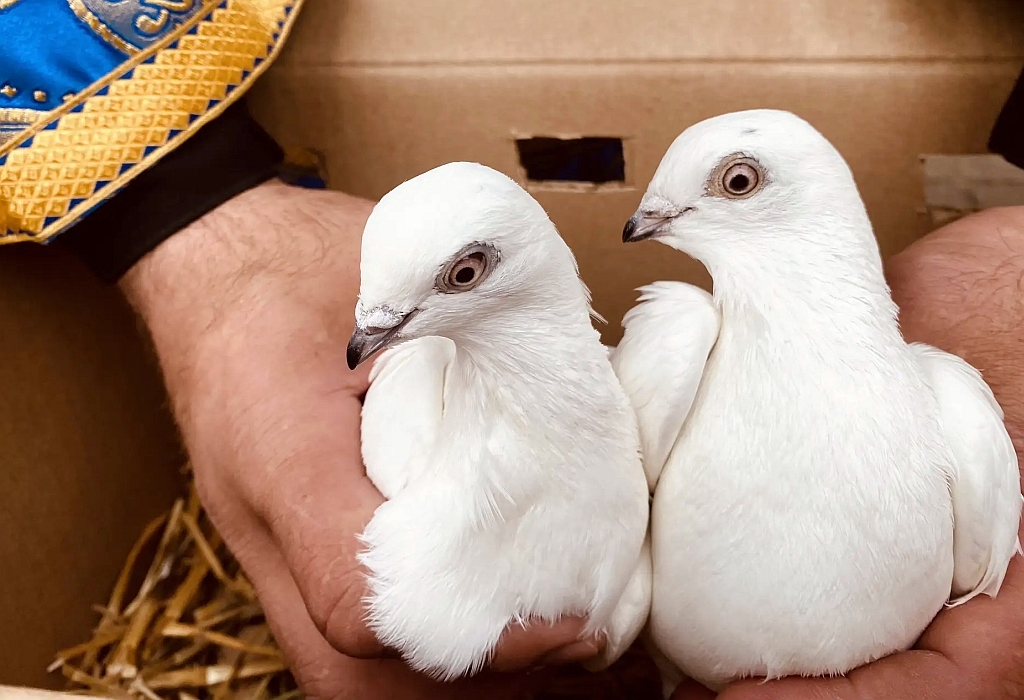 IMG_20260409_152755_447