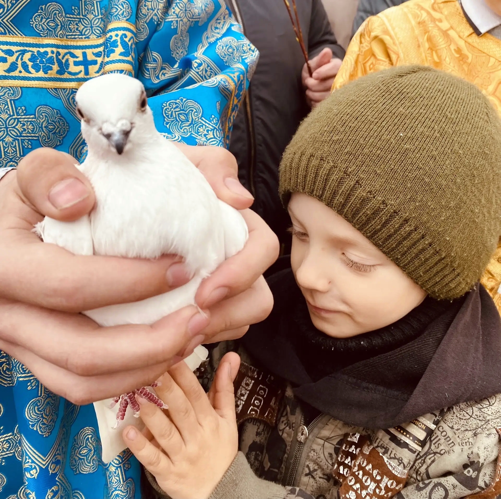 IMG_20260409_152800_668